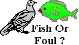Fish or Foul?