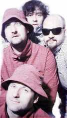 Click to see the Full Size Picture of the Shirehorses